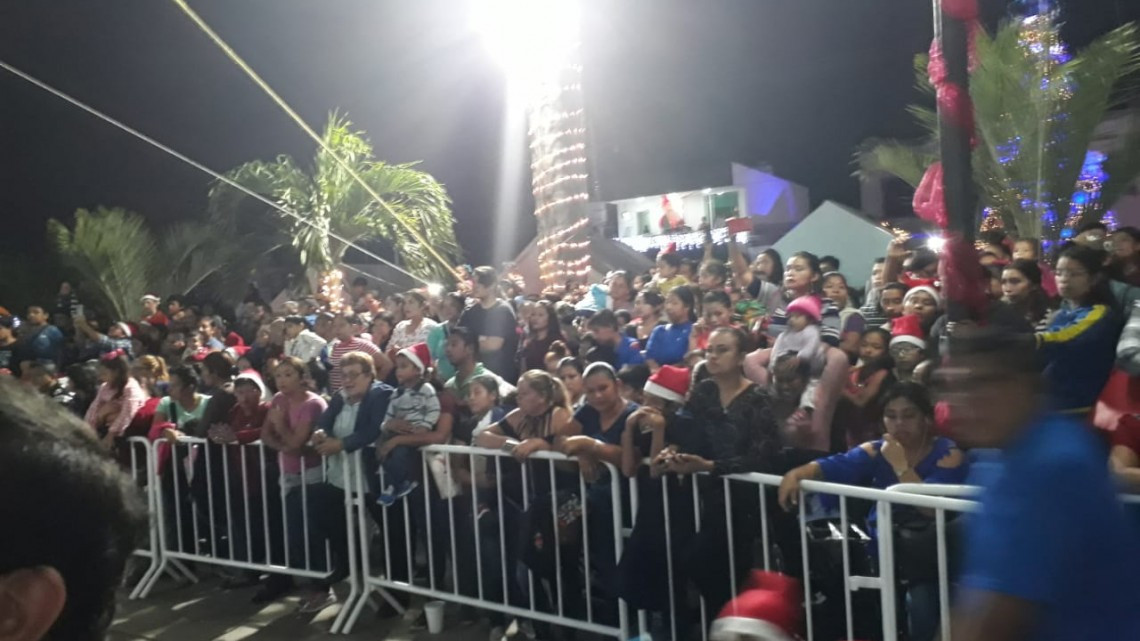 Altamira vive su Navidad con el encendido del pino monumental