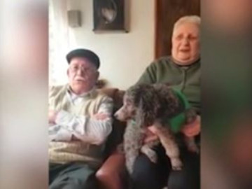 Abuelitos ofrecen su pensión con tal de recuperar a su perrita