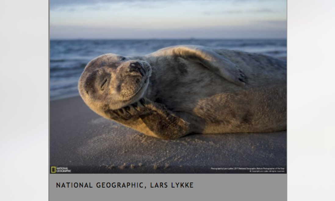 Conoce a los ganadores del NatGeo Nature 2017