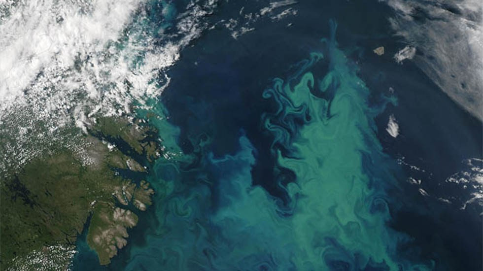 El color de los mares ya no será el mismo