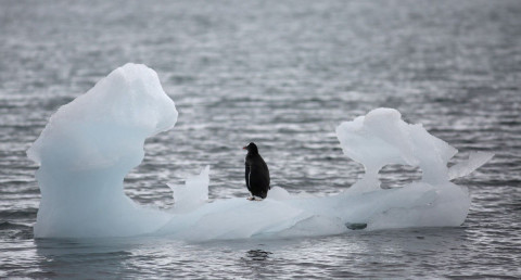Deshielo en el ártico retrasará calentamiento global y elevará el mar