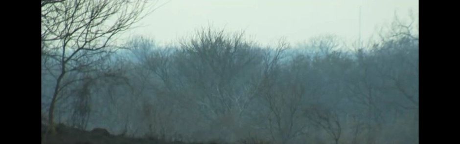 Incendio en Encino ya fue contenido; 2,000 acres de tierra consumidas