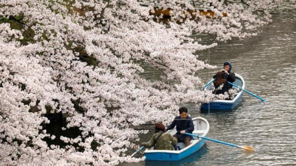 Llega la primavera a las calles de Japón