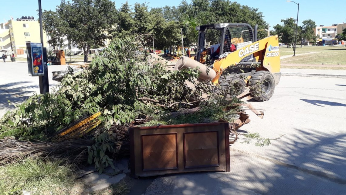 Refuerzan estrategia de limpieza para el combate al mosco transmisor del dengue