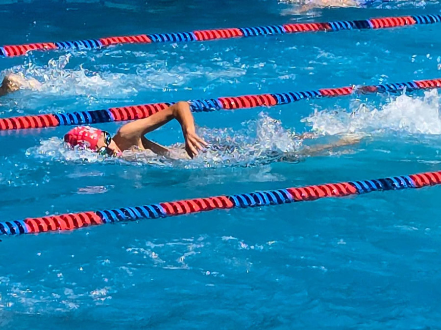 Participó Equipo de Natación Dragones IMD en Torneo de Independencia
