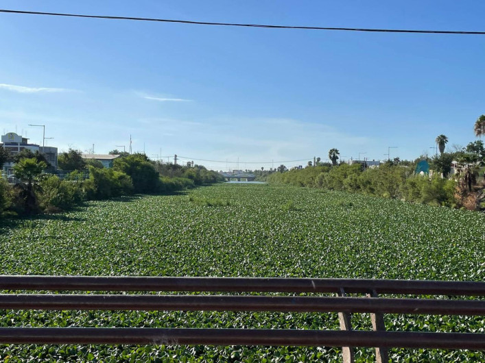 Aseguran que limpieza de Anzaldúas corresponde a Conagua