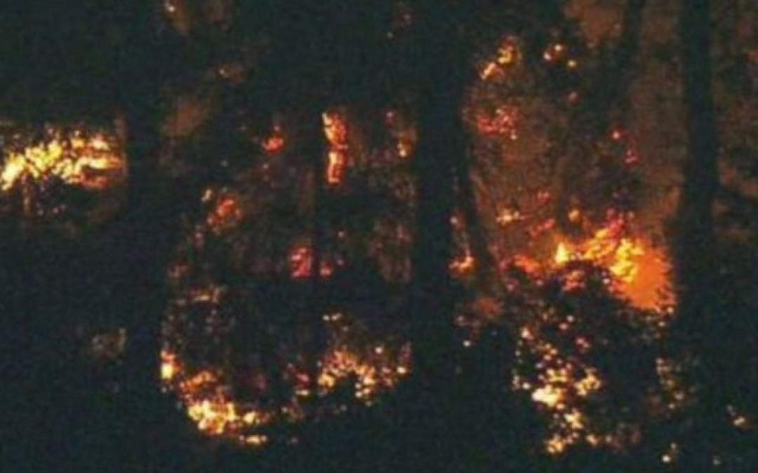 Suicida roba y estrella avión en Seattle