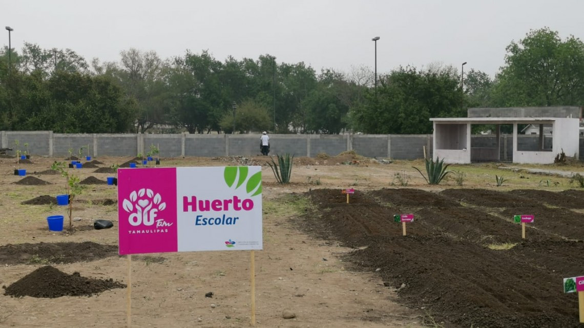 Arranca Programa de Reforestación en escuelas