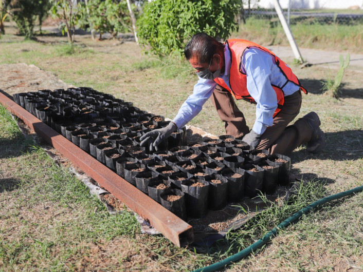 Realizará Municipio Programa de Educación ambiental para niños