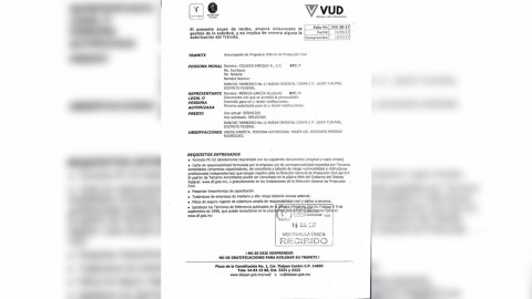 Directora no tiene responsabilidad del derrumbe del Rébsamen: Coello Trejo 