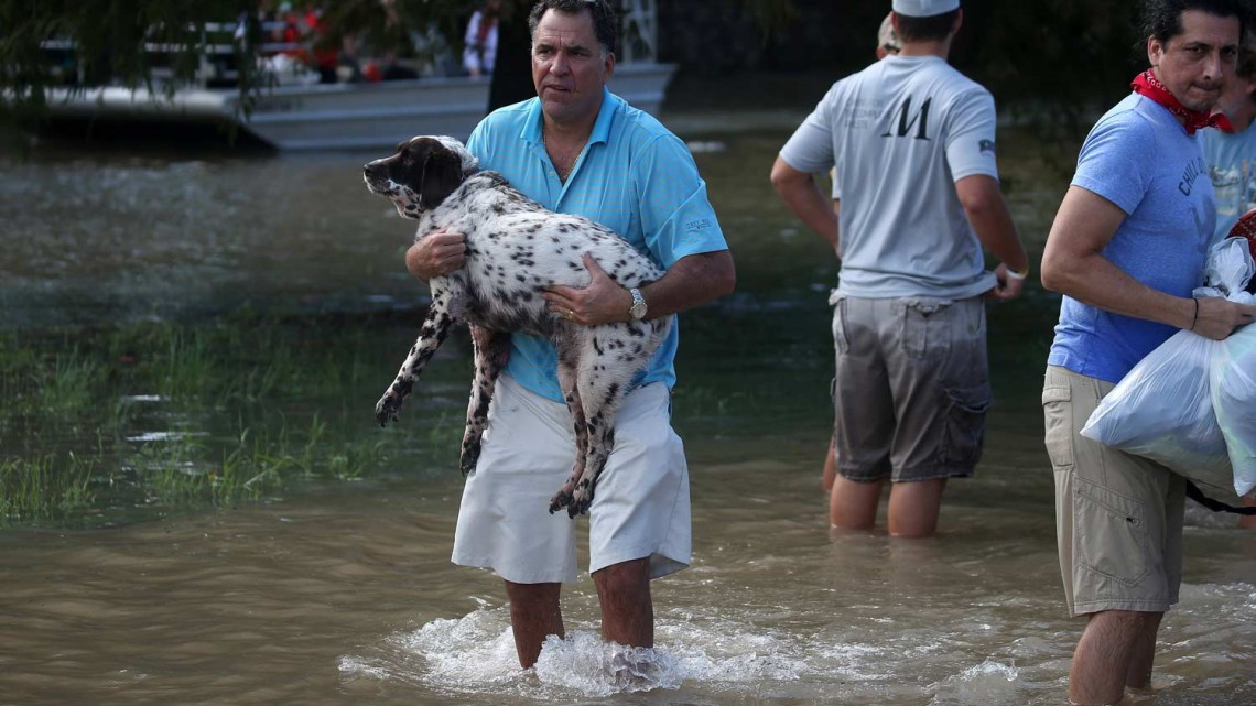 Comienza EU rescate de mascotas victimas de ‘Harvey’