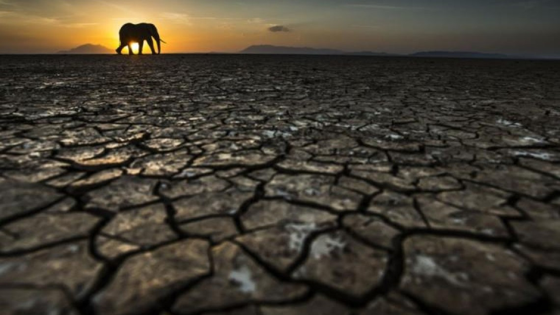 Las mejores fotografías del Sony World Photography Awards