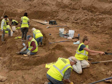 Descubren fósil de dinosaurio en sitio de construcción