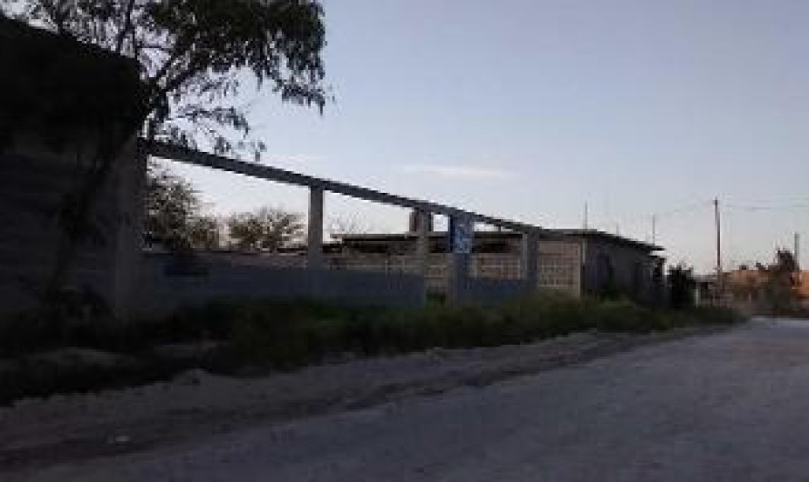 Ladrón sube a un árbol tras ser descubierto robando en una casa