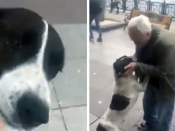 Luego de 3 años, vuelven a reunirse