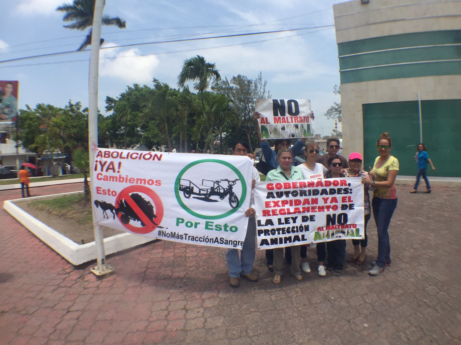 Exigen activistas prohibir el uso de caballos por los carretoneros