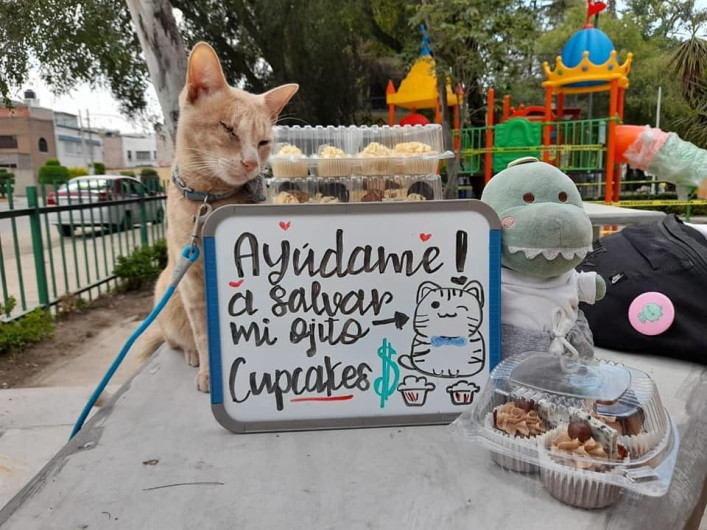 “Antonio” vendió cupcakes para poder salvar su ojo 