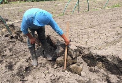 Afecta sismo a productores de Xochimilco