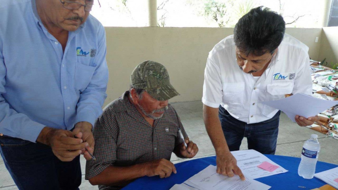 Entregan 10.8 toneladas de semilla de sorgo y frijol en Jiménez