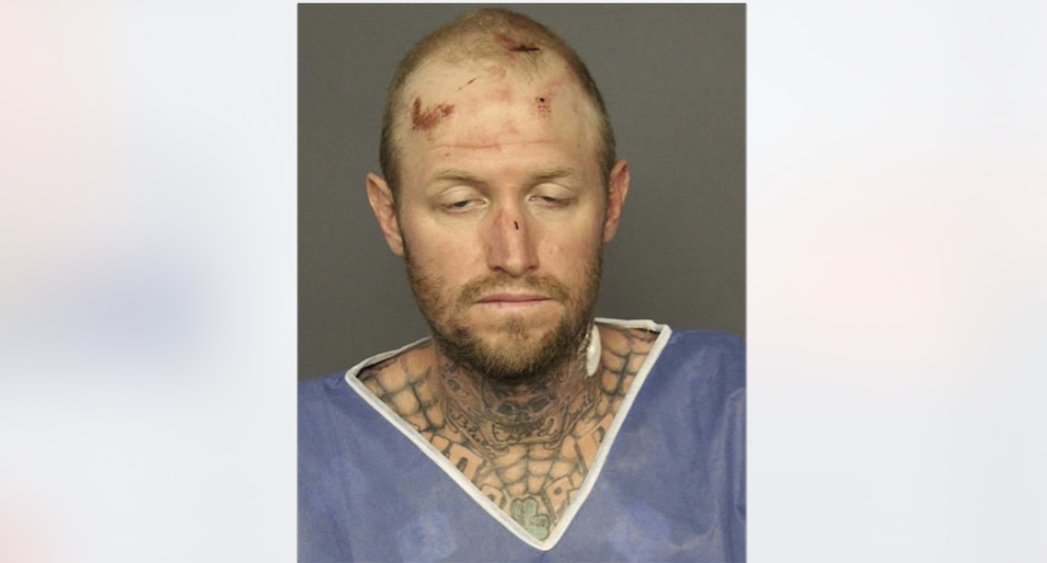 Hombre roba tractor y muerde a un perro policía