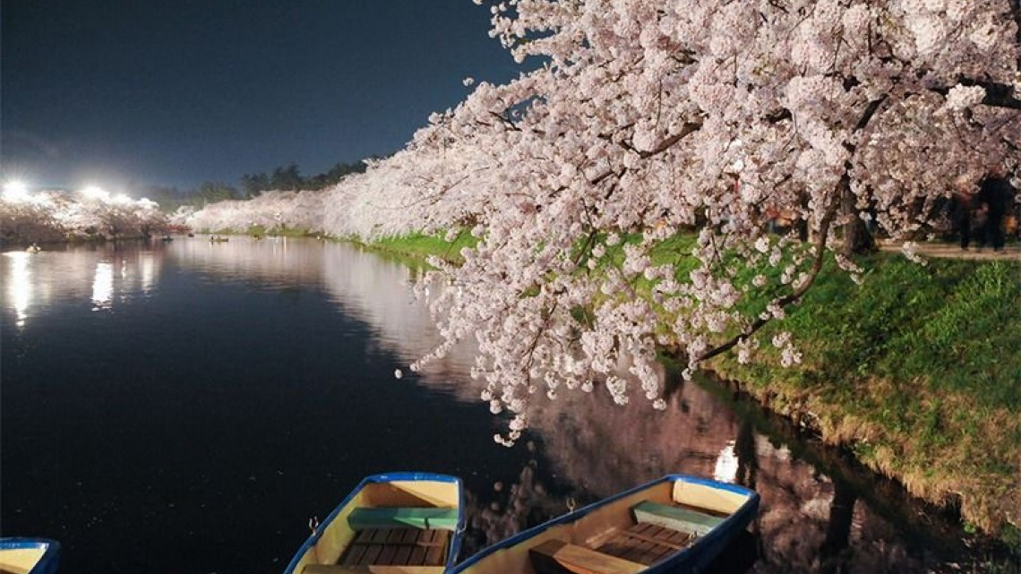 Llega la primavera a las calles de Japón