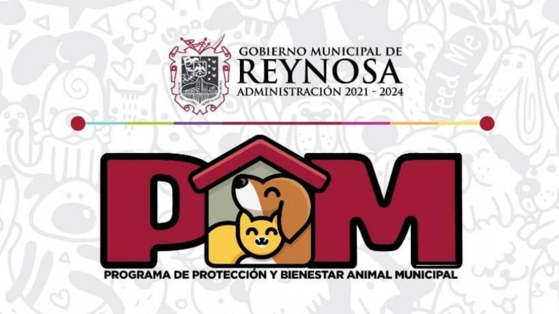 Protección Animal busca fomentar la adopción 