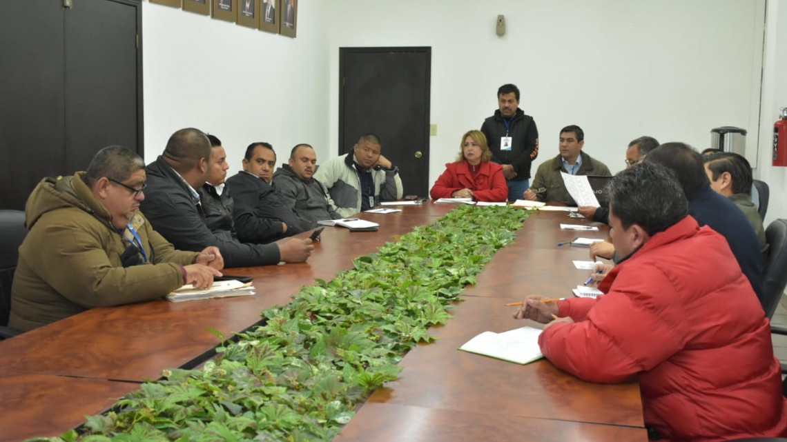 Listo desfile del 20 de Noviembre en Río Bravo