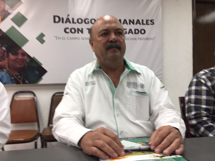 Inicia cosecha de sorgo y maíz en Tamaulipas
