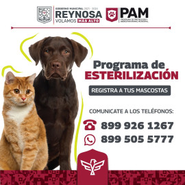Invita Alcalde Carlos Peña Ortiz a programa de Esterilización de mascotas 
