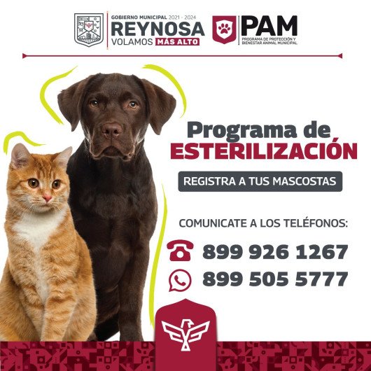 Invita Alcalde Carlos Peña Ortiz a programa de Esterilización de mascotas 