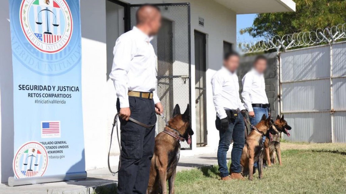 Entregan 3 agentes caninos a Procuraduría Tamaulipeca