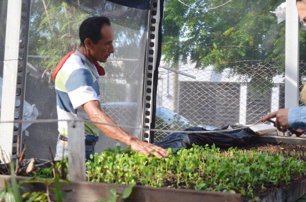 Anuncian reforestación para Matamoros 