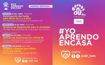 Ofrecerá DIF Tamaulipas cursos, pláticas, recetas de cocina, ejercicios en línea para  toda la familia