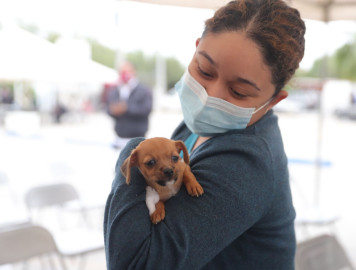 Inicia este viernes campaña de vacunación antirrábica 