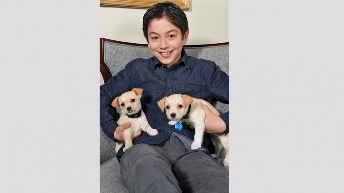 Protagonistas de Isle of dogs posan con cachorritos