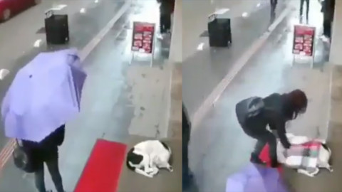 El conmovedor momento en que una mujer protege de la lluvia a un perro 