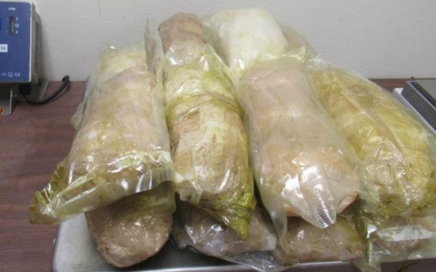 Decomisa CBP en Puente Internacional Hidalgo-Reynosa  paquetes de metanfetamina y marihuana