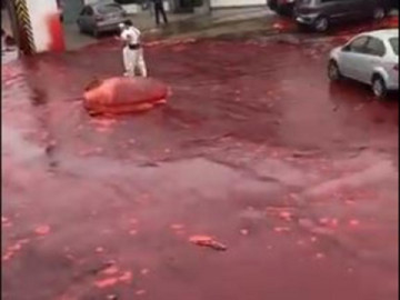 Calles de Argentina se inundan de sangre