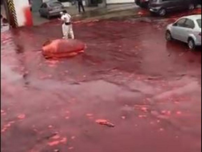 Calles de Argentina se inundan de sangre