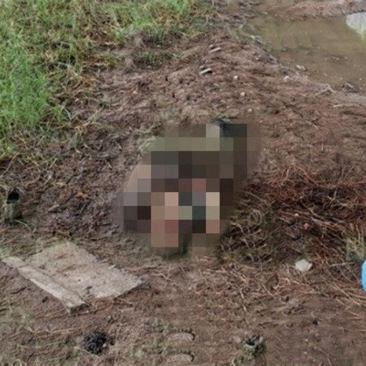 Hallan muerto y golpeado a anciano que tenía unos días desaparecido