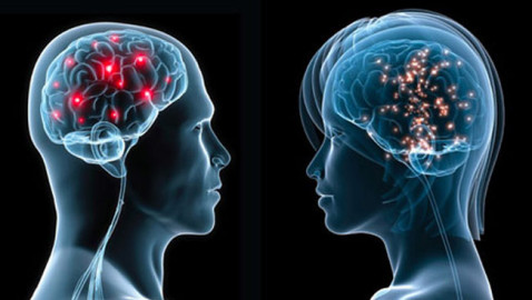El cerebro femenino envejece más lento