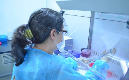 Tamaulipas registra 147 nuevos casos de COVID-19