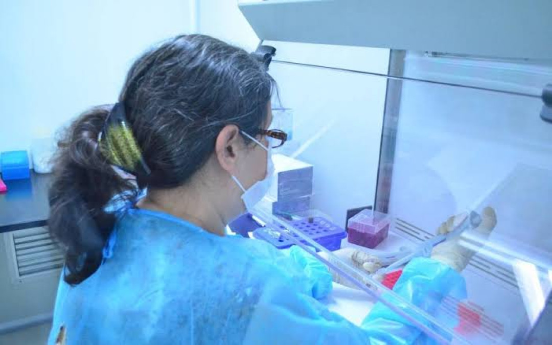 Tamaulipas registra 147 nuevos casos de COVID-19