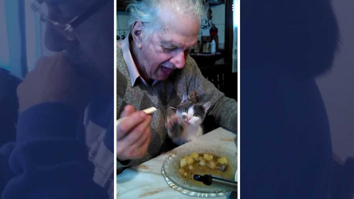 ¡No quiero animales!, días después...