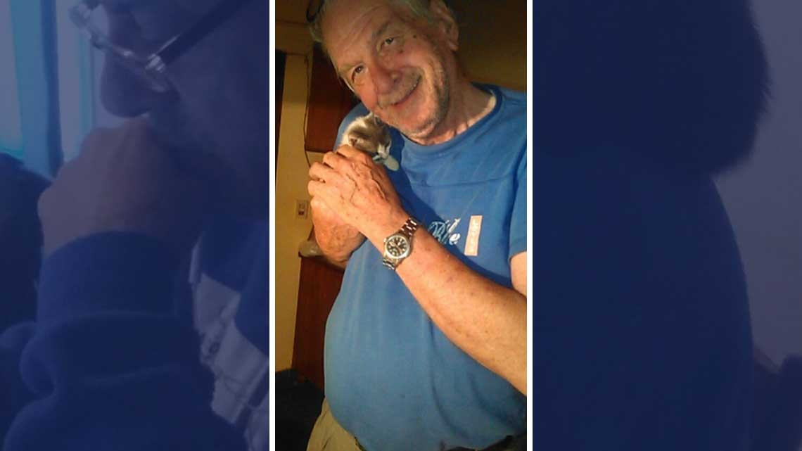 ¡No quiero animales!, días después...