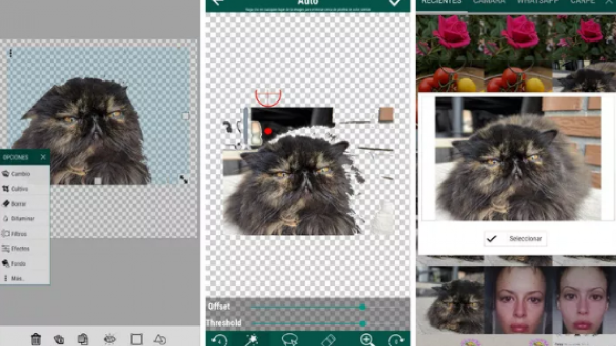 Así podrás crear tus propios stickers de WhatsApp