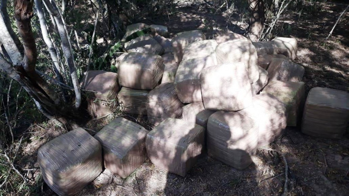Asegura Policía Estatal 235 kilogramos de Marihuana