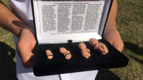 Asociaciones Pro Vida lamentan decisión de SCJN