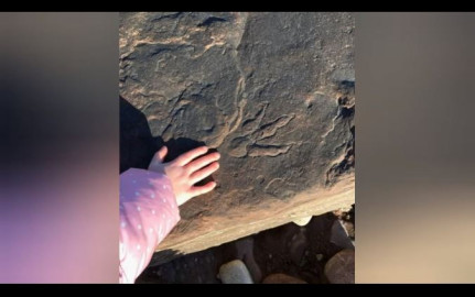 Niña descubre huella de dinosaurio en una playa de Gales
