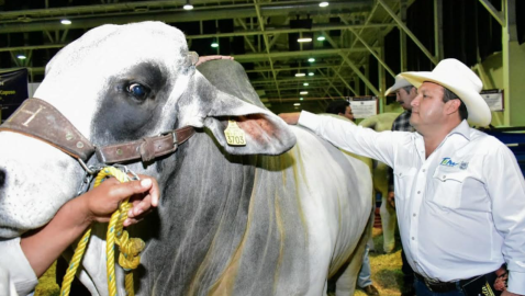 Da inicio programa de Mejoramiento Genético Tam 2020